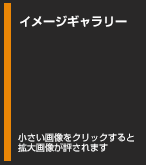 株式会社アルカディア / すーぱーそに子 Sweets & Bikini ver.